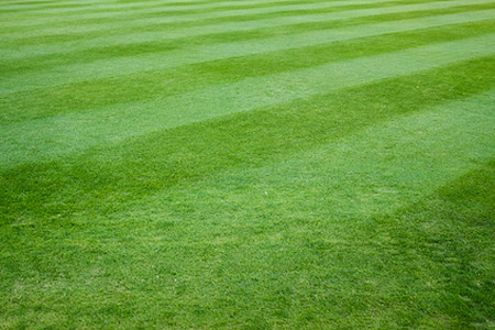 Sod installation Upstate South Carolina