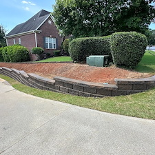 Ivy-Removal-Land-Grading-and-Hardscaping-in-Morris-SC 1