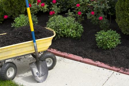 Mulch pine needle installation