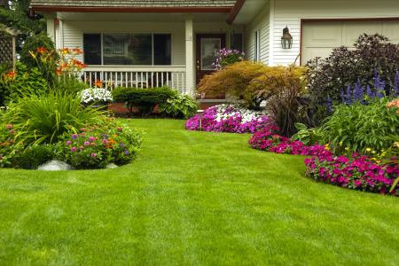 Shrub tree installation